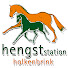 98v8_X4qGuk-channel-avatar-Hengststation Holkenbrink