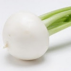 塩漬けマンのYouTube奮闘記