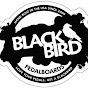 Blackbird Pedalboards