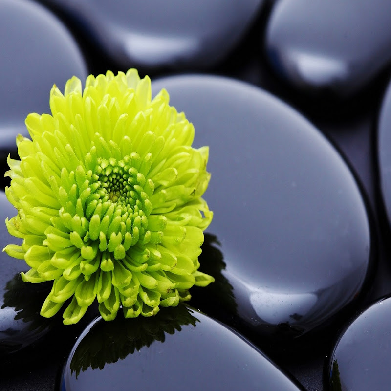 DIY Cement Projects Logo