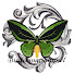 wt53Z1-uBJI-channel-avatar-BirdwingChannel