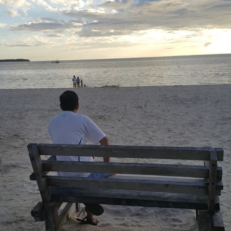 Random Life Observer