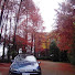 p_Fg4ylJYNE-channel-avatar-LIN HOLDEN
