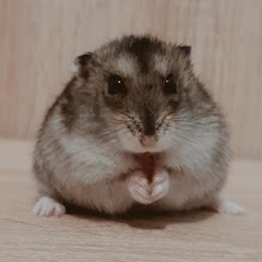 Škrečík Tv