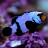 @Mikeymikemike's avatar