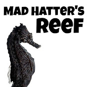 Mad Hatters Reef
