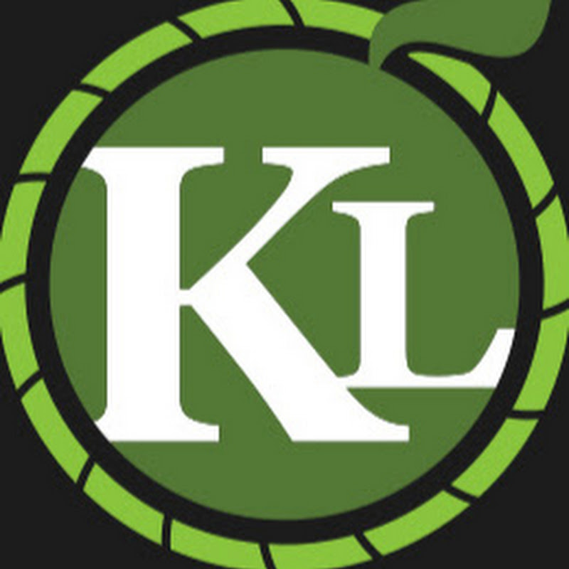 Key Lime Photo