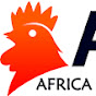 AFRICA POULET GOLIATH