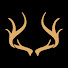 RCVVygPub30-channel-avatar-Deerstalker Pictures and 2 more