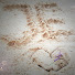 l0GE73aU32A-channel-avatar-janeteereth