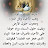 @altaybhabeb5567