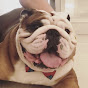 Roquefort_thebulldog logo