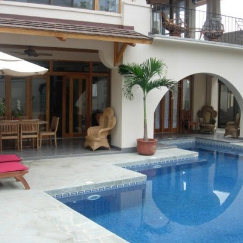 Wasabi Properties