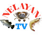 Nelayan TV Image Thumbnail