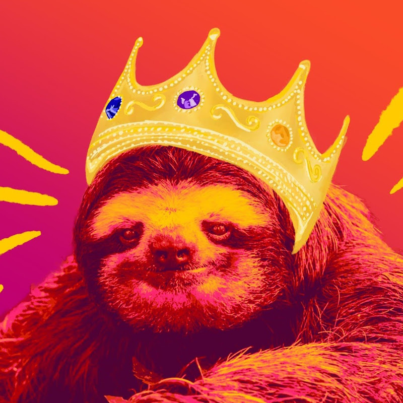 Savvy Sloth