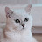 @user-ce1pn5xp3h
