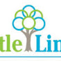 Little Linguists International Preschool logo