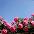 @sun-bl5eb