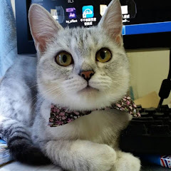 inw Kアイコン画像