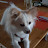 @user-xd6ns3wv1j