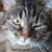@mecrushed1's avatar
