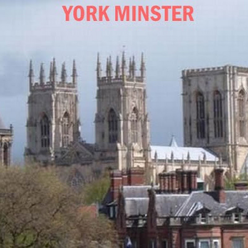 York Procurement Training & Coaching (YPTC)