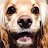 @TerribleUsernameAmirite's avatar