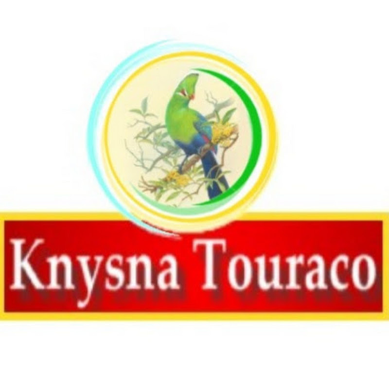 Knysna Touraco