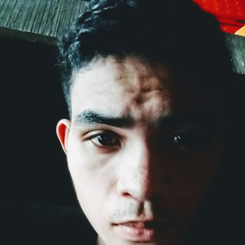 bj vlog
