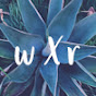 wild x root logo