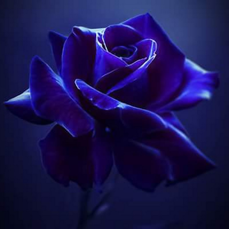 treasureofficial1 PEACE & BLESSINGS SYMONE