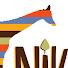 DeP1H91YB10-channel-avatar-NikelaWildlife