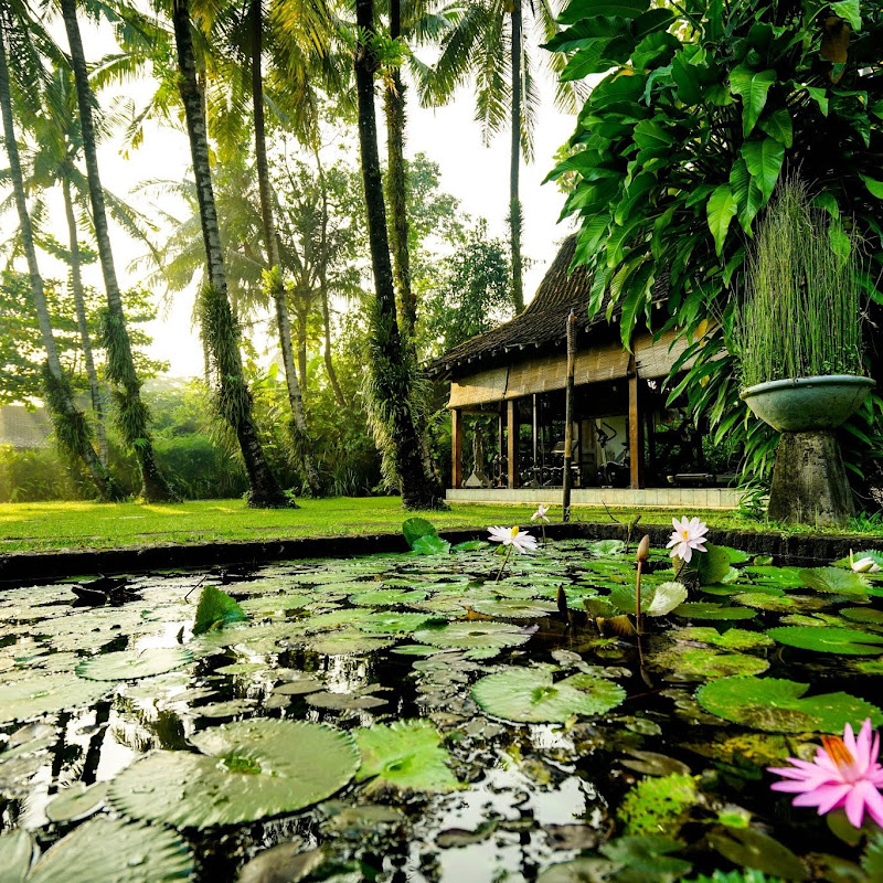 d'Omah Yogya Hotel