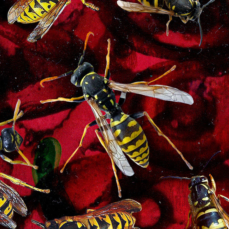 Cardigan of Wasps icon
