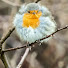 7rxF5-8yr9A-channel-avatar-Cok van Werkhoven