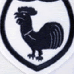 Tottenham Hotspur Fan Clips Channel