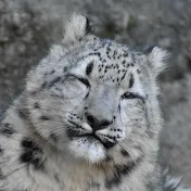 宮丸動物・鉄道チャンネル