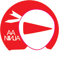 AA-Ninja