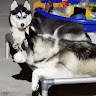 Автор