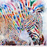 htmPWxv-BVk-channel-avatar-Ward Stroud
