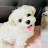 @웅도리-k9l