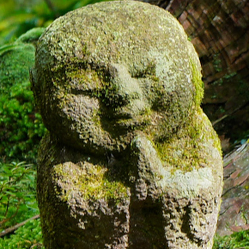 小黑的旅行誌 Logo