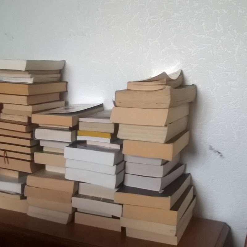 La liseuse de livre