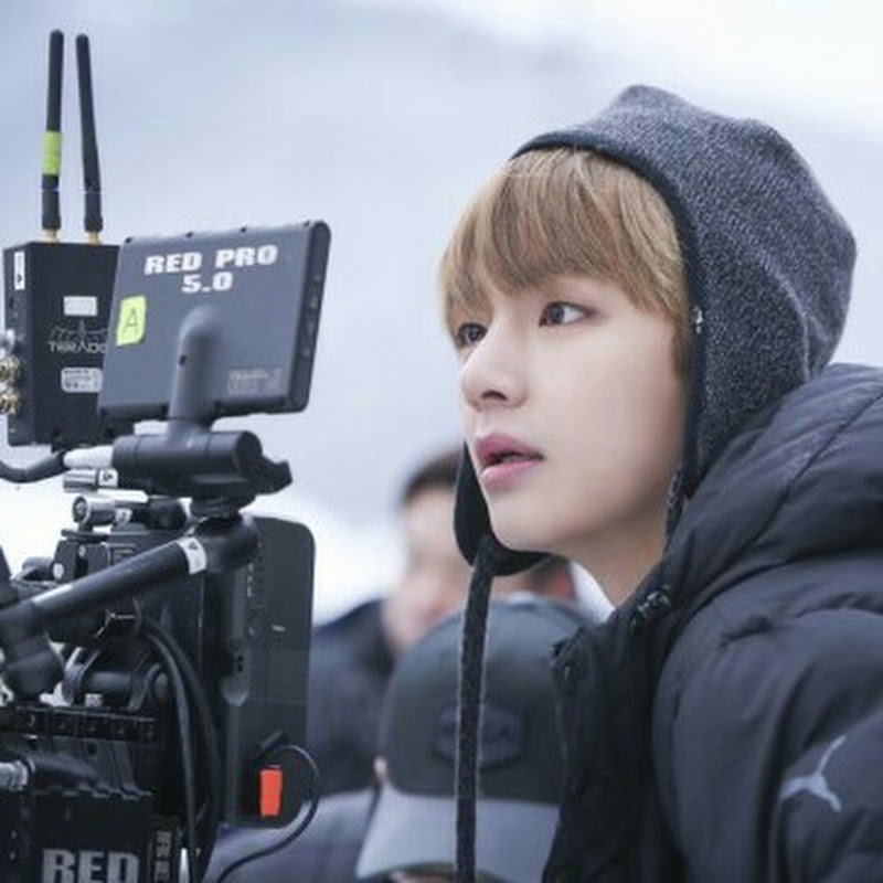 TV팬더