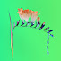 Gjpb7JazrKQ-channel-avatar-vanest