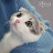 @user-nb6yi7kk7i