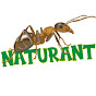 Naturant Tv logo