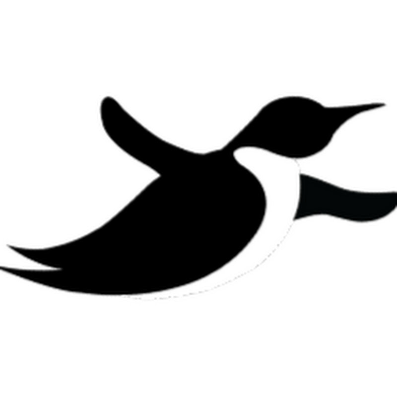 Flying Penguins
