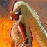 723Vvw3mhyU-channel-avatar-DragonicBlaziken7
