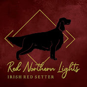 Red Norhtern Lights